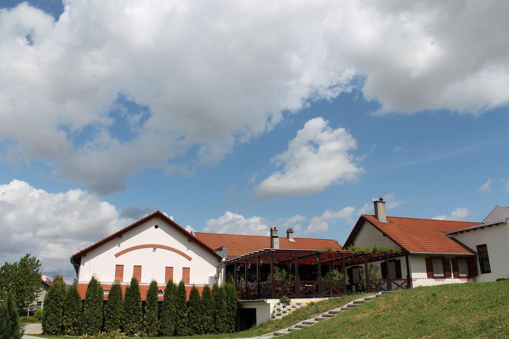 Hotel Tiffan'S Pinceszet Es Panzio Villány Exteriér fotografie