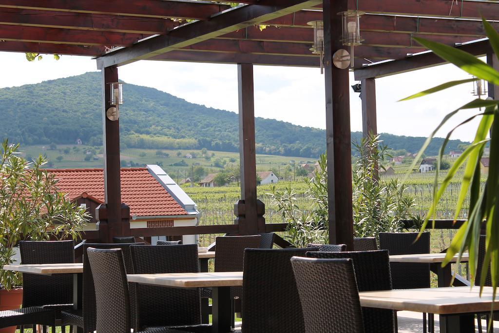 Hotel Tiffan'S Pinceszet Es Panzio Villány Exteriér fotografie