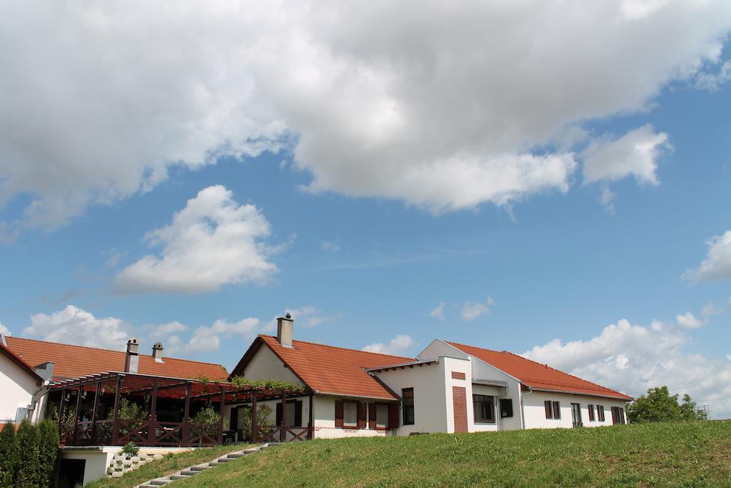 Hotel Tiffan'S Pinceszet Es Panzio Villány Exteriér fotografie